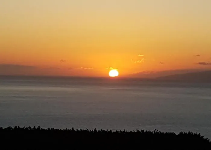 Casa Mariposa (adults Only) Bed & Breakfast Playa de San Juan (Tenerife)